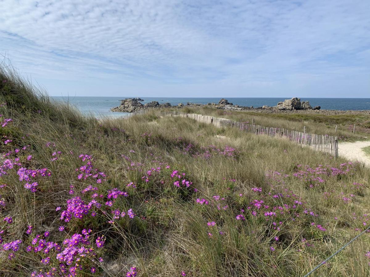 L'Escale 551, Gite Santec A 250M De La Plage Buitenkant foto