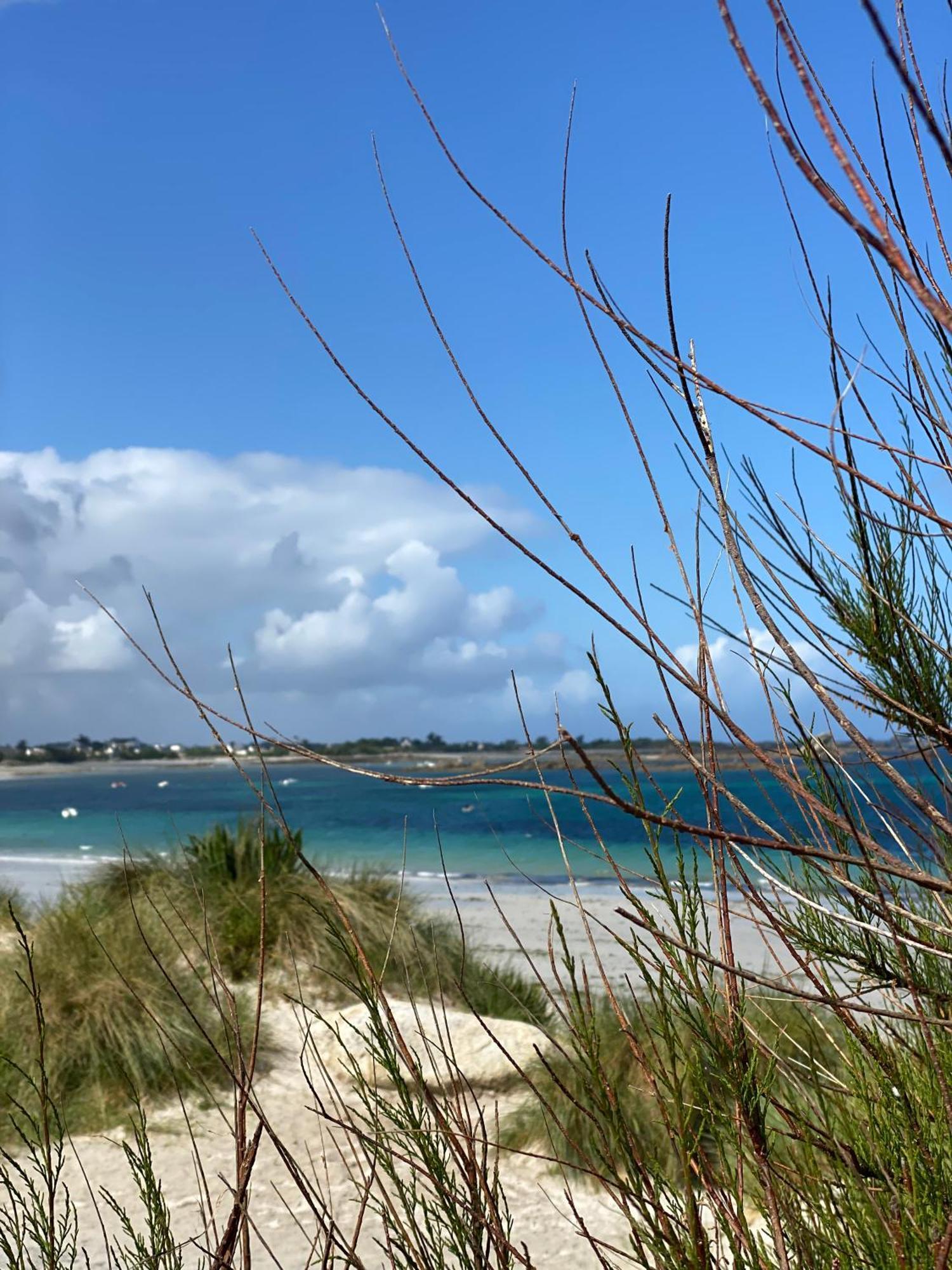 L'Escale 551, Gite Santec A 250M De La Plage Buitenkant foto